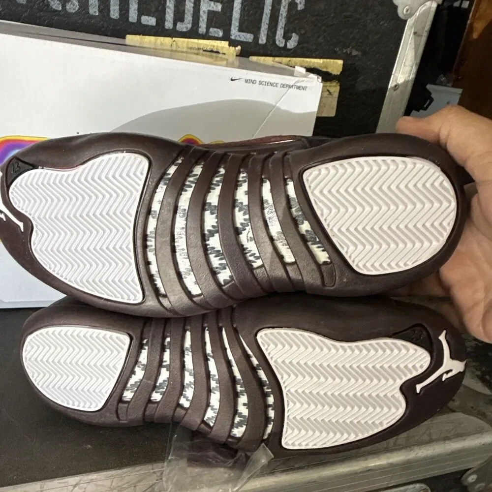 New DS Nike Air Jordan 12 Retro  
